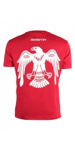 Türk Yıldızları Kırmızı Dikey Logolu Kartallı Tişört