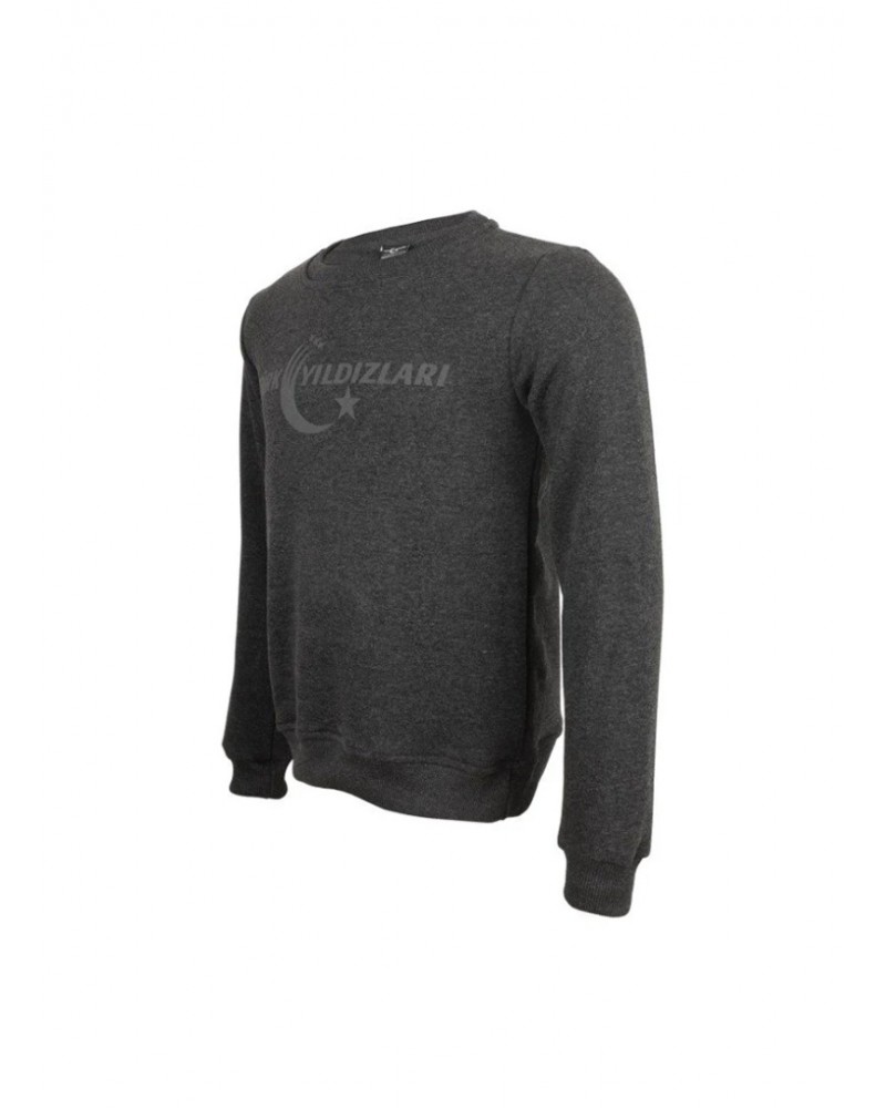 Ty Sıfır Yaka Gri Çocuk Sweatshirt